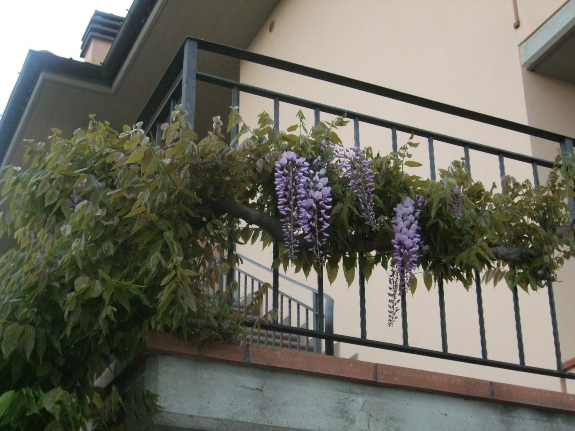 B&B La Casa Di Zefiro Limite Exteriör bild